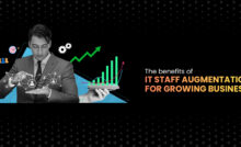 IT Staff Augmentation