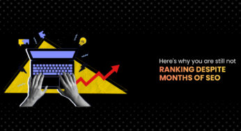 Here’s why you are still not ranking despite months of SEO